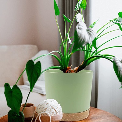 Potenciômetros plásticos internos da planta verde com furos da drenagem e base removível