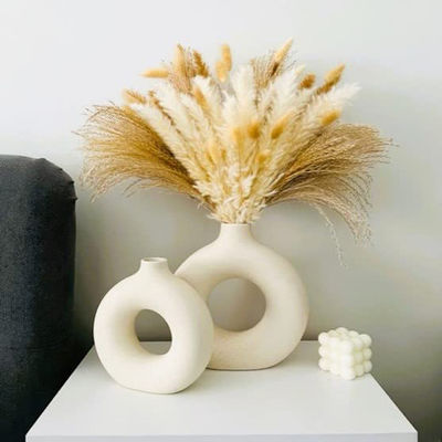 Vaso redondo multicolorido nórdico da filhós da flor para a decoração da casa