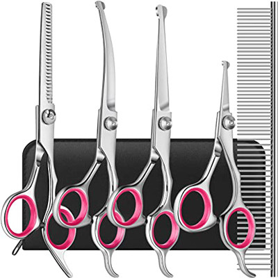 6 em tesouras de aço inoxidável Kit With Safety Round Tips de 1 preparação do cão