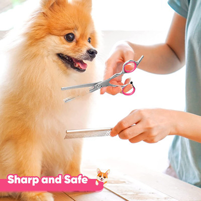 6 em tesouras de aço inoxidável Kit With Safety Round Tips de 1 preparação do cão