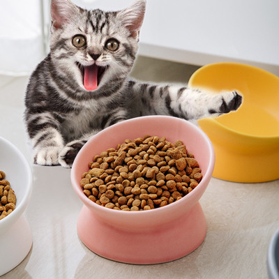 Animal de estimação aumentado cerâmico multicolorido de Cat Bowls Elevated Porcelain For