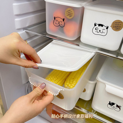 A cozinha maioria plástica fornece recipientes das frutas e legumes para o refrigerador