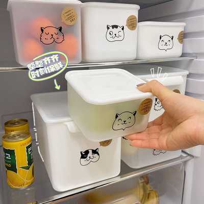 A cozinha maioria plástica fornece recipientes das frutas e legumes para o refrigerador