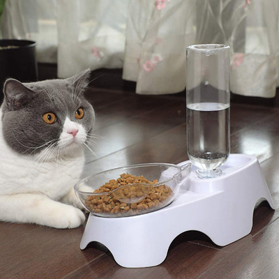 Garrafa dobro de Cat Food Bowls With Automatic Waterer dos animais de estimação plásticos do cão